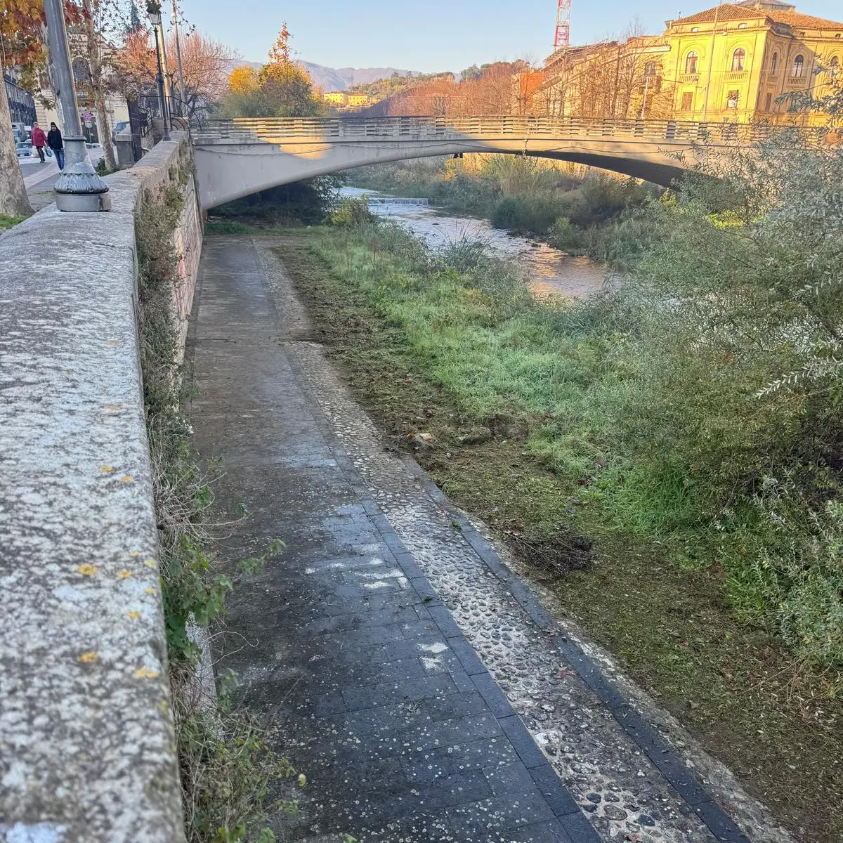 Busento, nuova bonifica e stretta contro gli incivili: scattano fototrappole e multe\n
