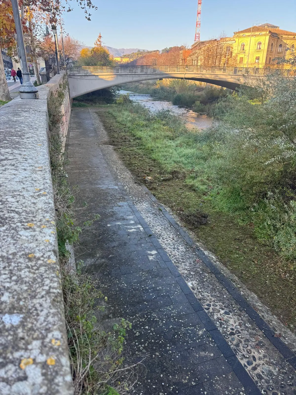 Busento, nuova bonifica e stretta contro gli incivili: scattano fototrappole e multe\n