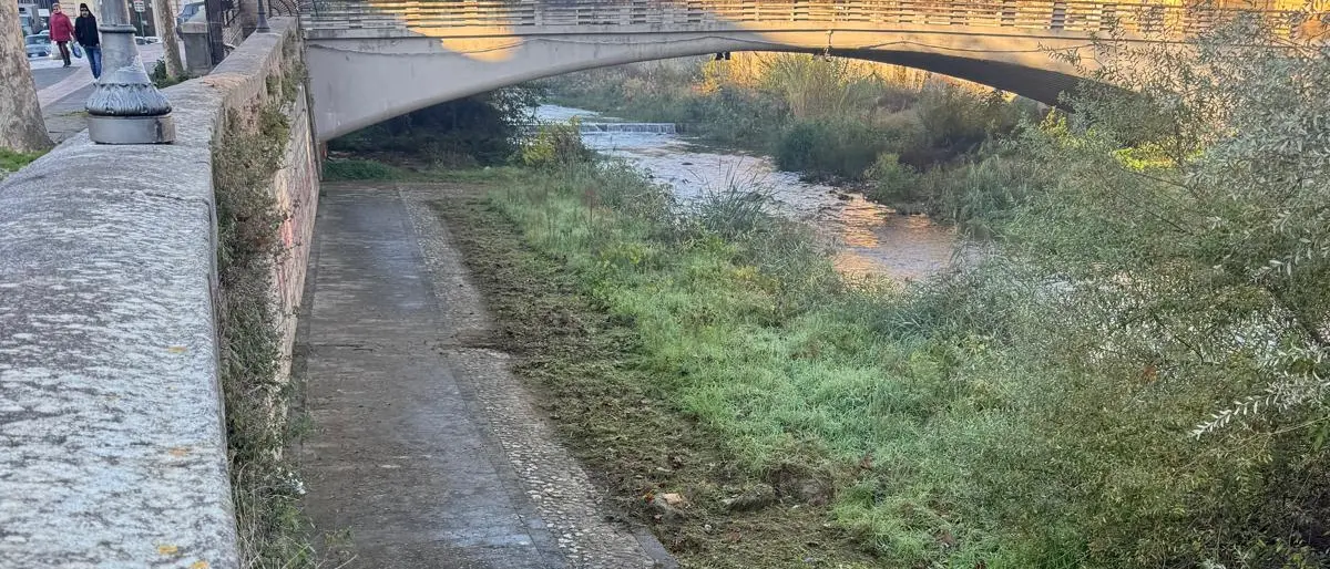 Busento, nuova bonifica e stretta contro gli incivili: scattano fototrappole e multe\n