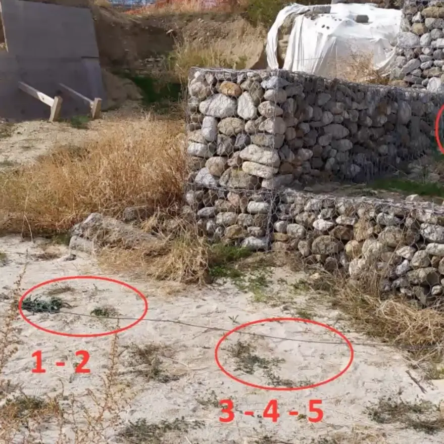 Inchiesta Scylletium, mozziconi\u00A0e spazzatura negli scavi archeologici: la maleducazione che ha tradito i tombaroli\n