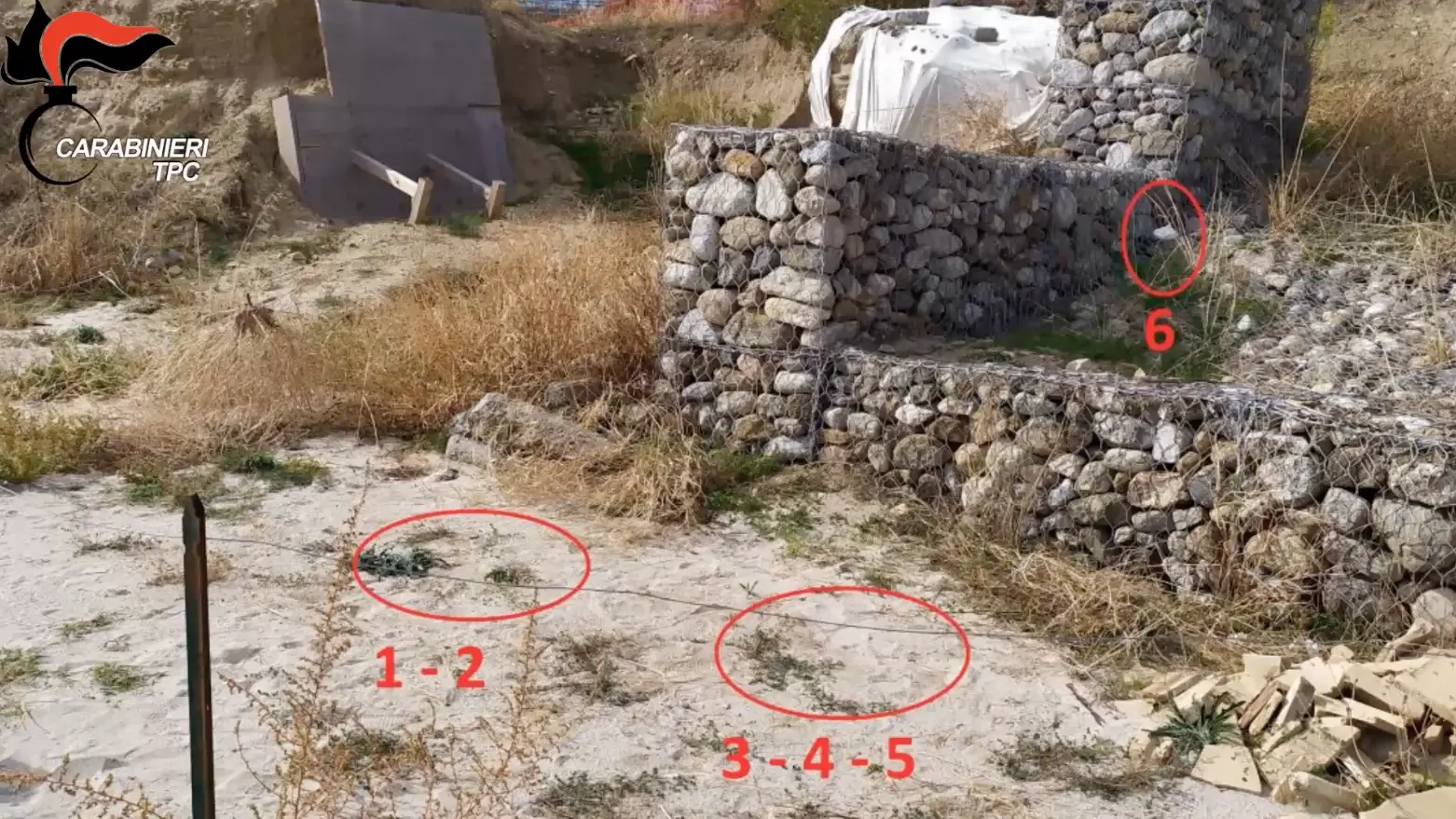 Inchiesta Scylletium, mozziconi e spazzatura negli scavi archeologici: la maleducazione che ha tradito i tombaroli