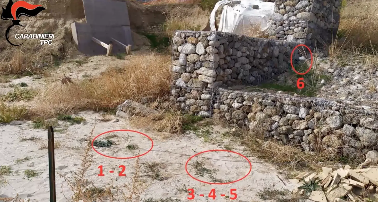 Inchiesta Scylletium, mozziconi\u00A0e spazzatura negli scavi archeologici: la maleducazione che ha tradito i tombaroli\n