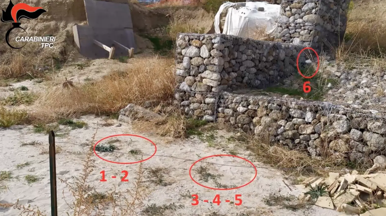 Inchiesta Scylletium, mozziconi\u00A0e spazzatura negli scavi archeologici: la maleducazione che ha tradito i tombaroli\n