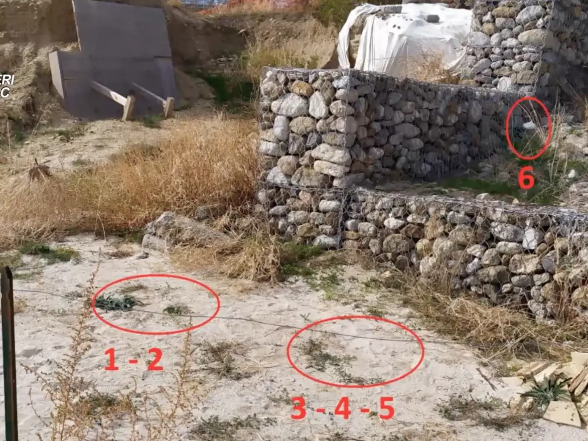 Inchiesta Scylletium, mozziconi e spazzatura negli scavi archeologici: la maleducazione che ha tradito i tombaroli