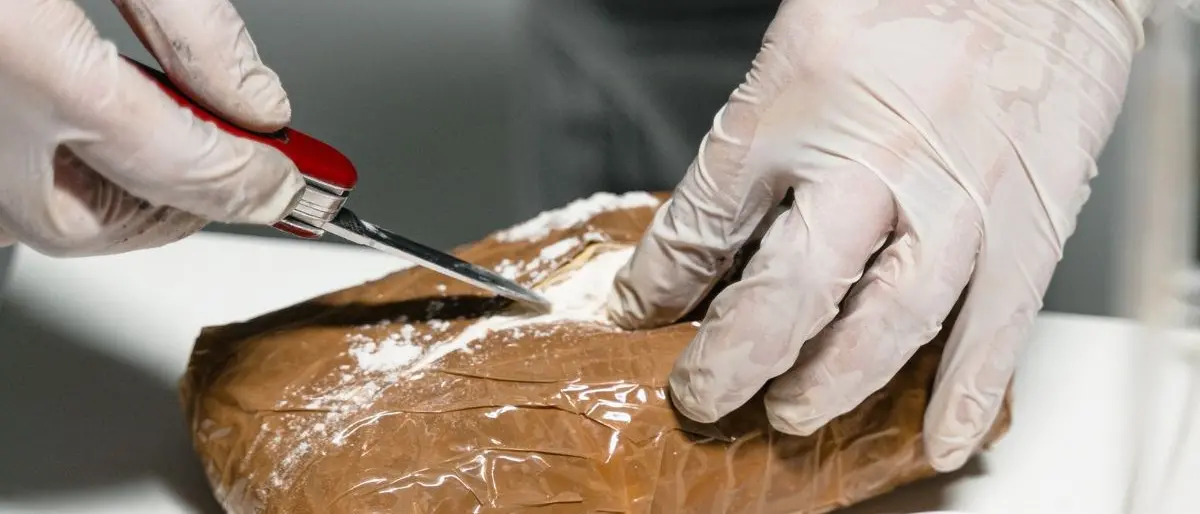 Lamezia, imprenditore trovato con un chilo di coca in macchina: «Costretto a trafficare droga dopo l’interdittiva antimafia»\n