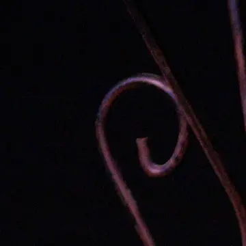 Domenica 14 dicembre allo Spazio Antigone di Reggio\u00A0in scena lo spettacolo teatrale “Ecuba. Il Sogno”\n