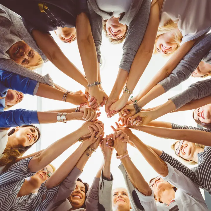 Vibo Valentia,\u00A0le linee programmatiche della Consigliera di Parità Antonella Rotella\n