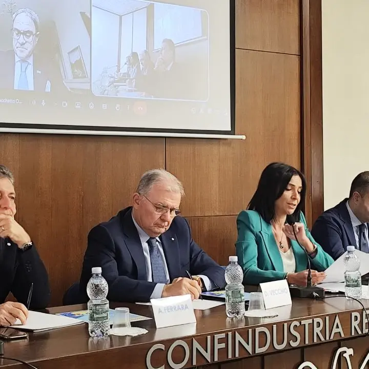 Calabria-Kazakhstan: contatto. Con Omnibus un pacchetto di misure per le imprese: meno burocrazia e più flessibilità