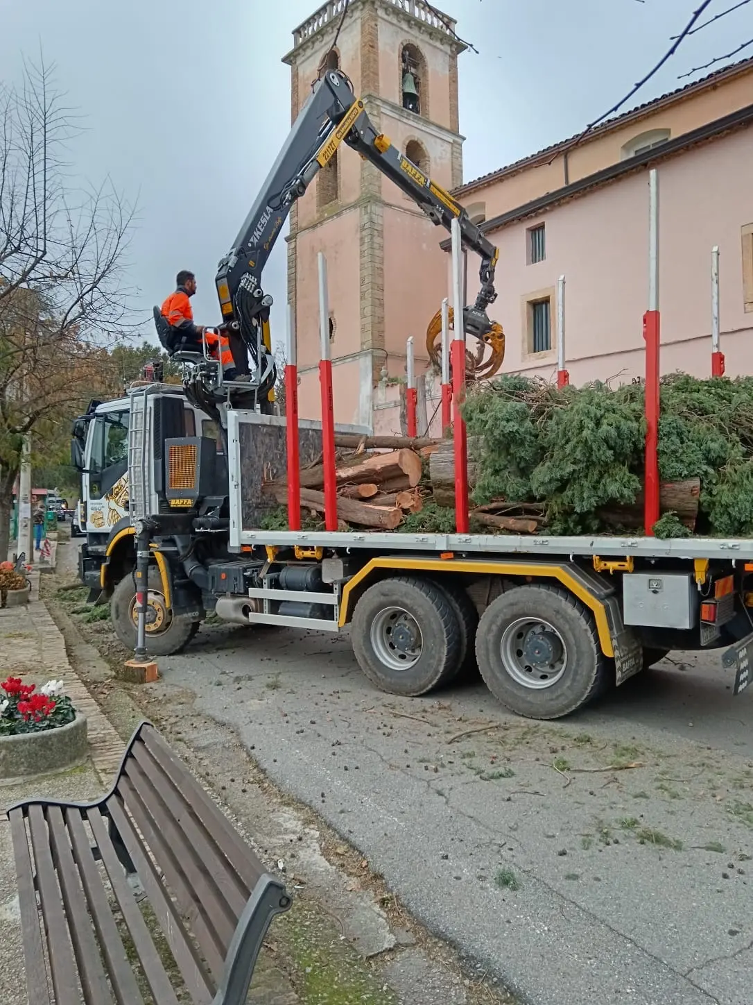 Dietro il campanile della chiesa di Arcavacata tagliati due cipressi secolari: il Comitato parla di un abuso contro storia e comunità