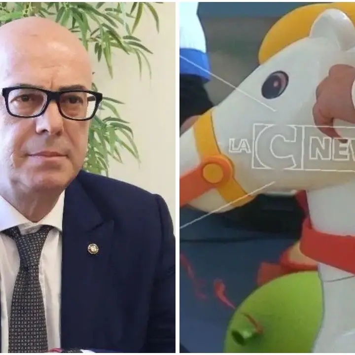 Asili nido, Napoli (Confapi): «In Calabria un diritto negato. Servono scelte coraggiose e risorse strutturali»\n