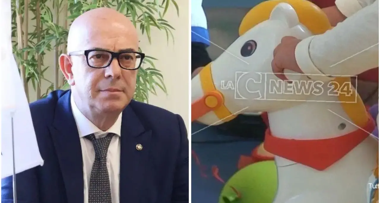 Asili nido, Napoli (Confapi): «In Calabria un diritto negato. Servono scelte coraggiose e risorse strutturali»\n