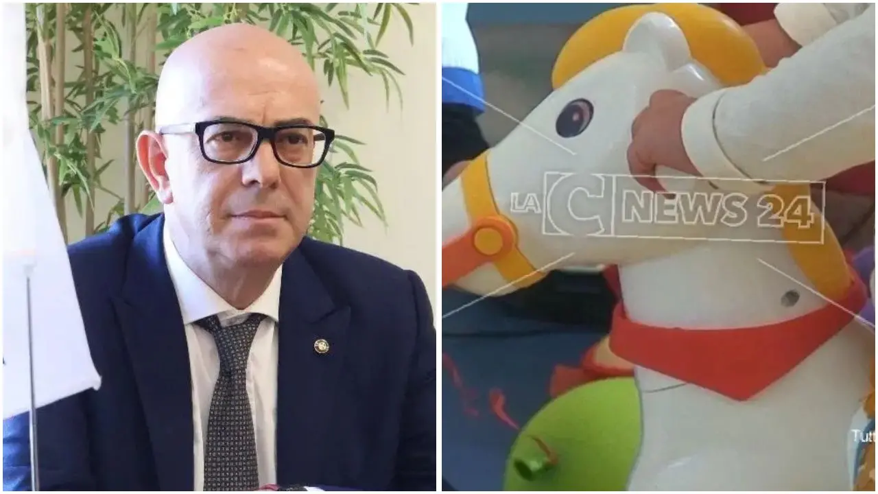 Asili nido, Napoli (Confapi): «In Calabria un diritto negato. Servono scelte coraggiose e risorse strutturali»\n