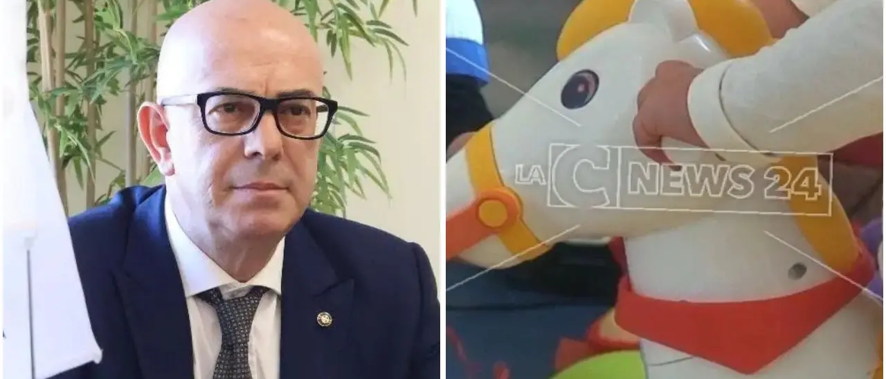 Asili nido, Napoli (Confapi): «In Calabria un diritto negato. Servono scelte coraggiose e risorse strutturali»\n