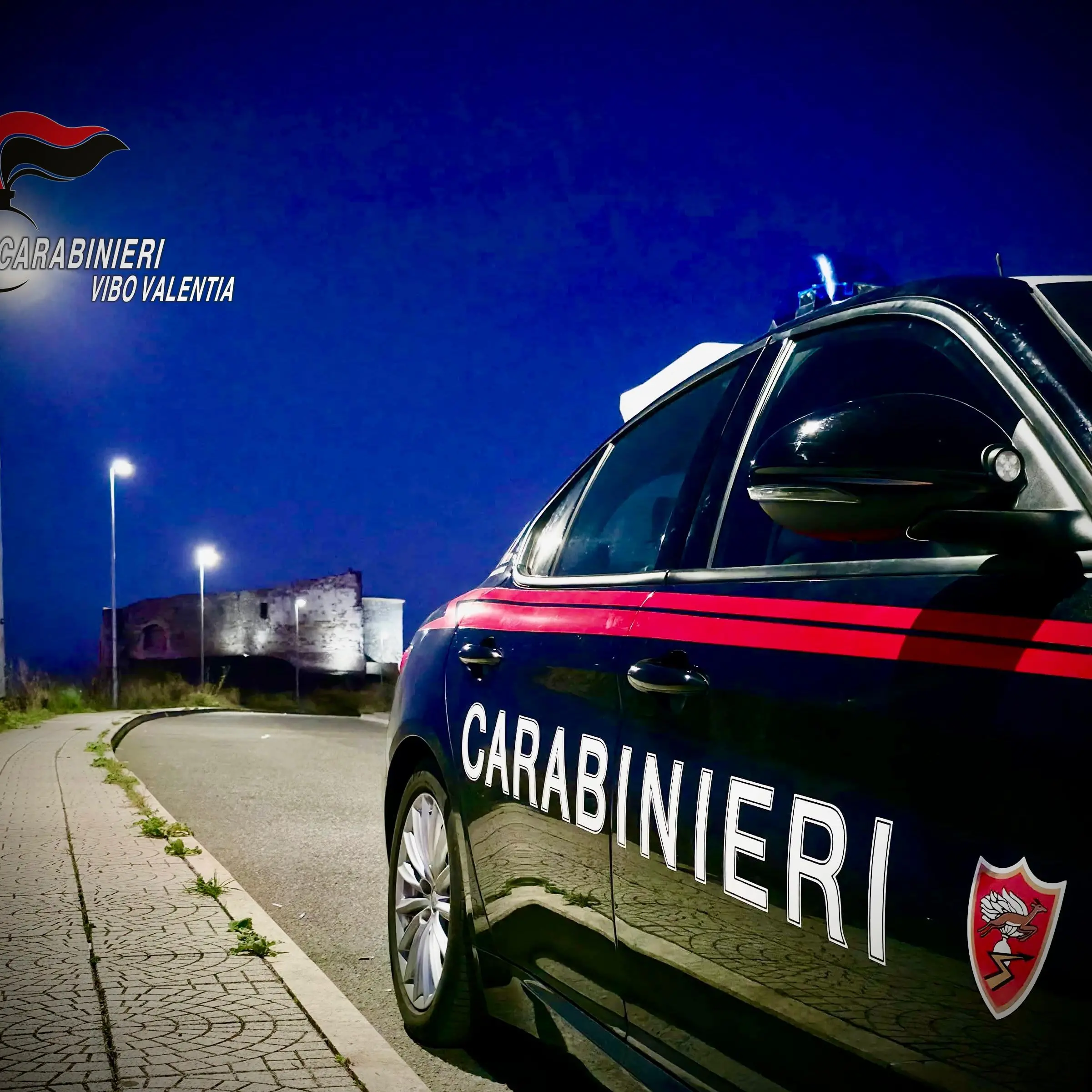 Vibo, controlli straordinari dei carabinieri: 14 persone denunciate nel fine settimana