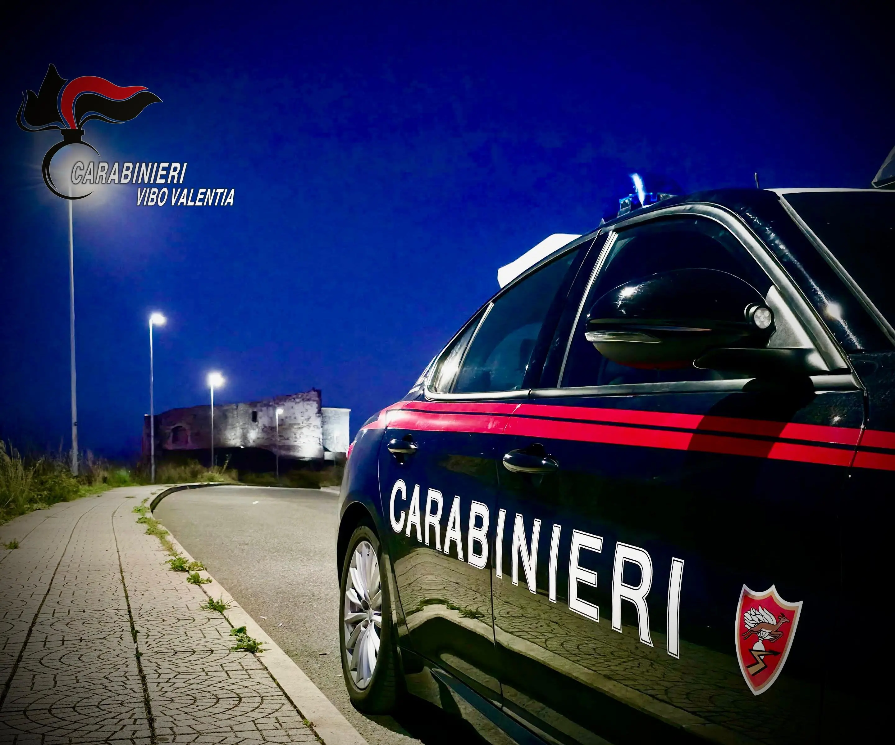 Vibo, controlli straordinari dei carabinieri: 14 persone denunciate nel fine settimana