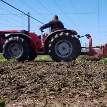 Solidarietà dell’amministrazione comunale di Gioia Tauro alla Cooperativa Valle del Marro\n