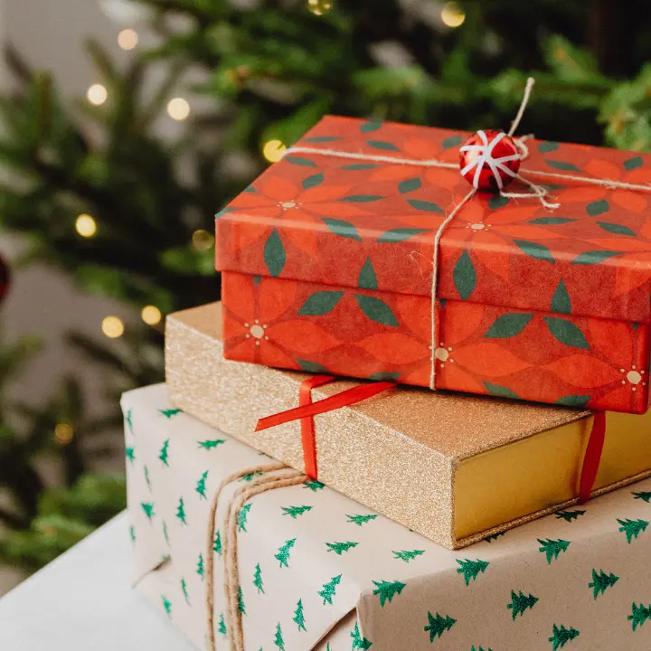 Natale 2025, la Prefettura di Reggio promuove “Un libro sotto l’albero”\n\n\n