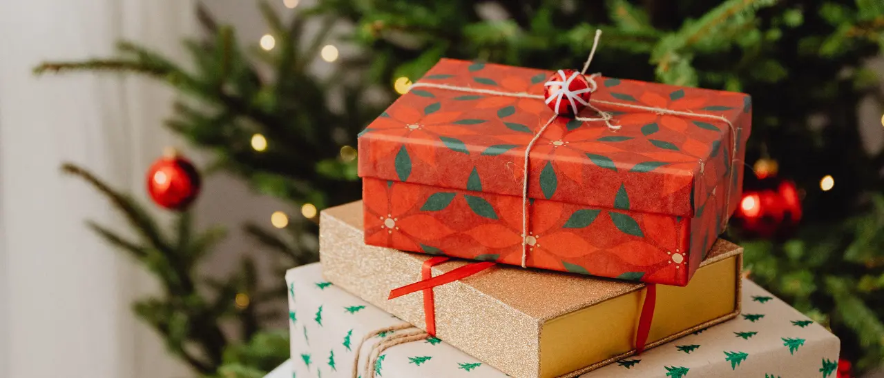 Natale 2025, la Prefettura di Reggio promuove “Un libro sotto l’albero”\n\n\n