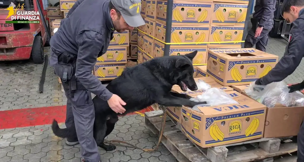 Reggio Calabria, maxi sequestro da 18 milioni a 8 persone: è il valore delle imposte evase per il traffico di cocaina\n