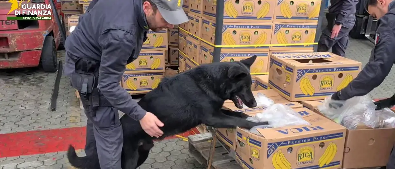 Reggio Calabria, maxi sequestro da 18 milioni a 8 persone: è il valore delle imposte evase per il traffico di cocaina\n