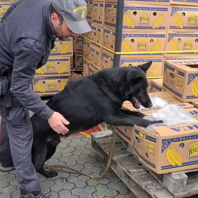 Narcotraffico, eseguito a Reggio un sequestro preventivo per quasi\u00A018 milioni di euro\u00A0\n\u00A0\n