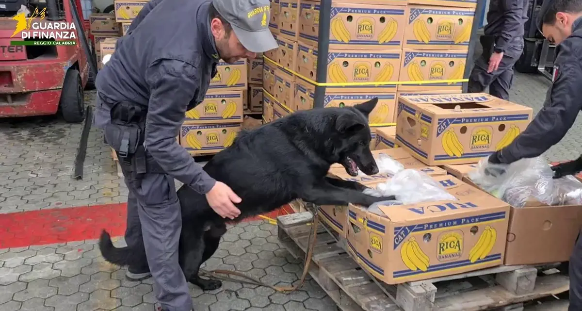 Narcotraffico, eseguito a Reggio un sequestro preventivo per quasi\u00A018 milioni di euro\u00A0\n\u00A0\n