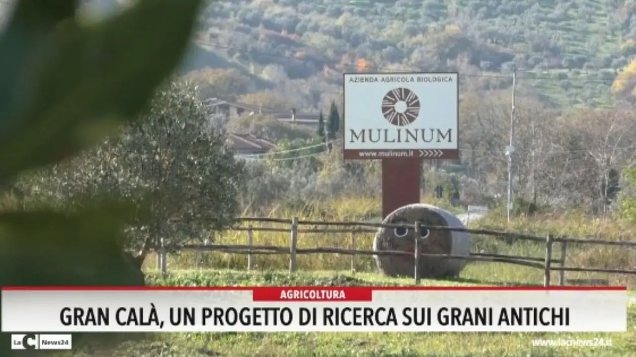Gran Calà, un progetto di ricerca sui grani antichi