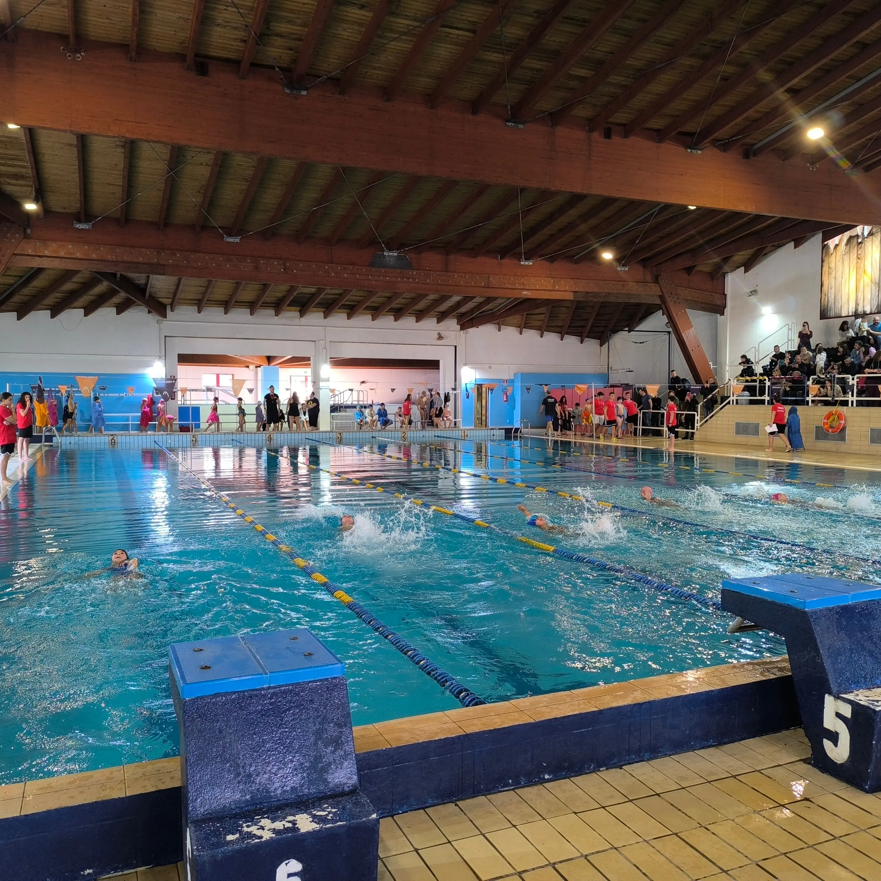 Sport senza barriere: alla Piscina comunale di Cosenza la festa della TMA