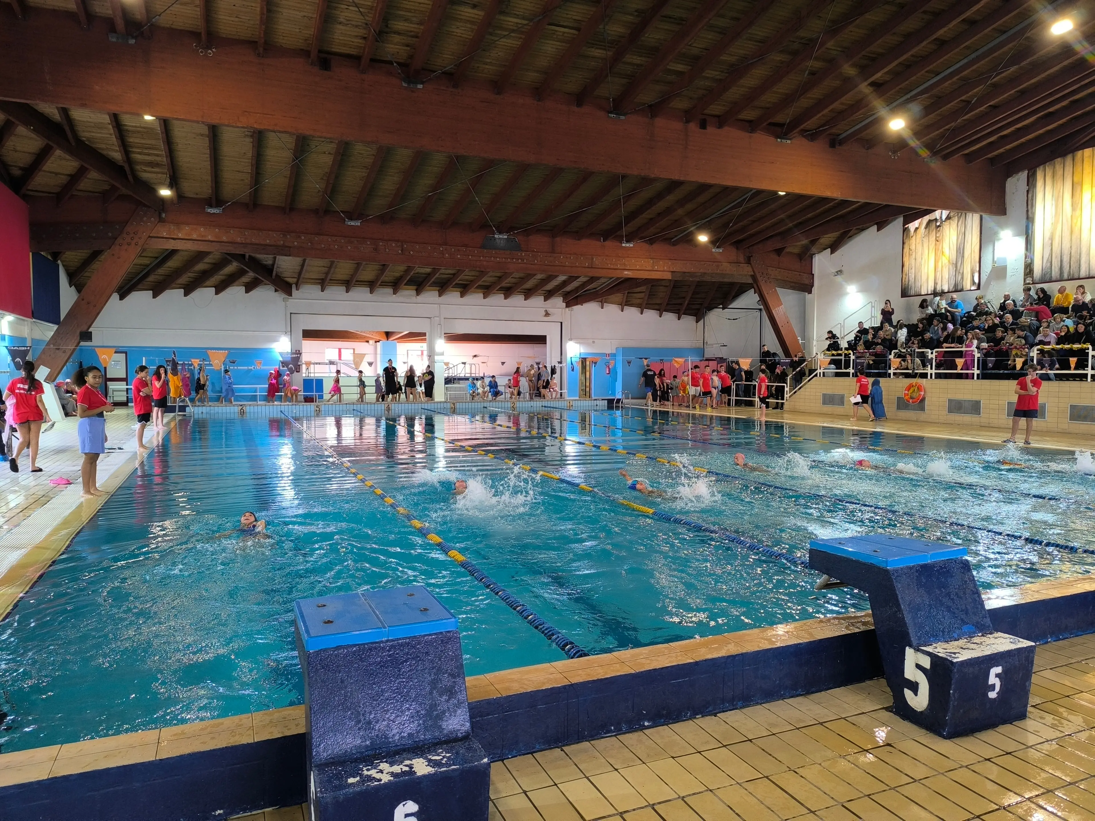 Sport senza barriere: alla Piscina comunale di Cosenza la festa della TMA