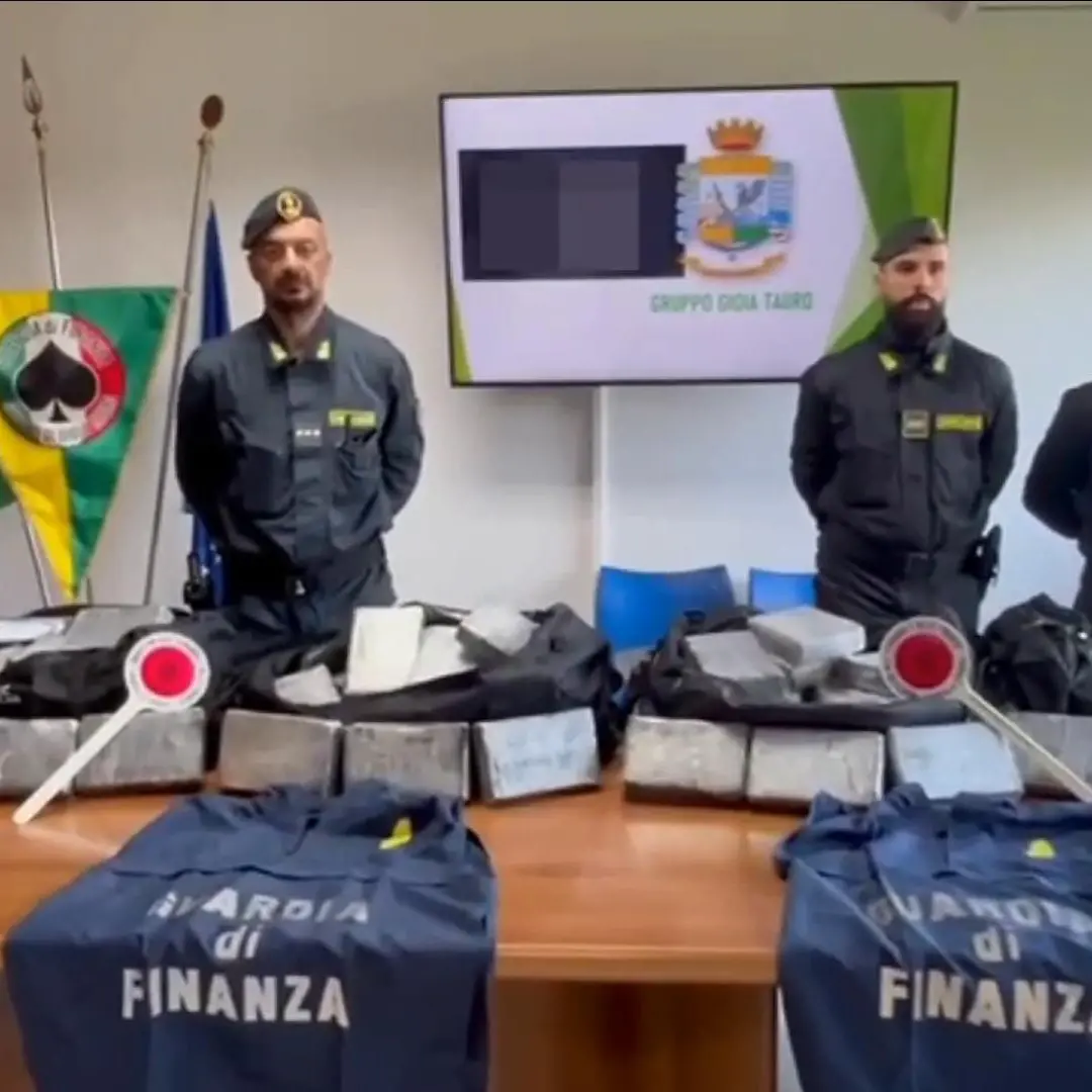 Sequestrati 248 chili di cocaina per 40 milioni di euro al porto di Gioia Tauro, era nascosta tra auto usate e sacchi di sesamo\n