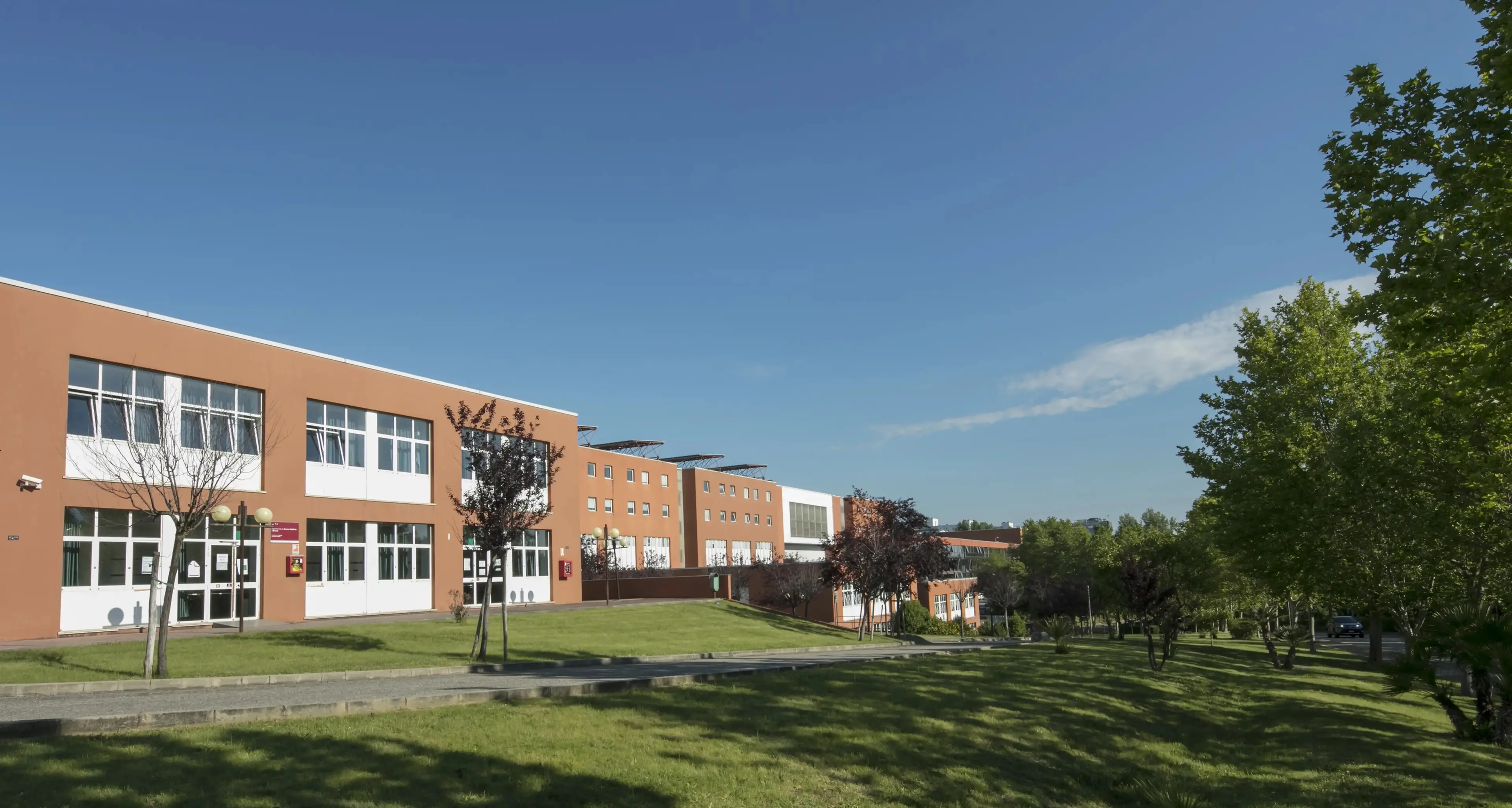 «Curiamo il verde dell’Unical, ma la nostra azienda ci ha lasciato senza stipendi»