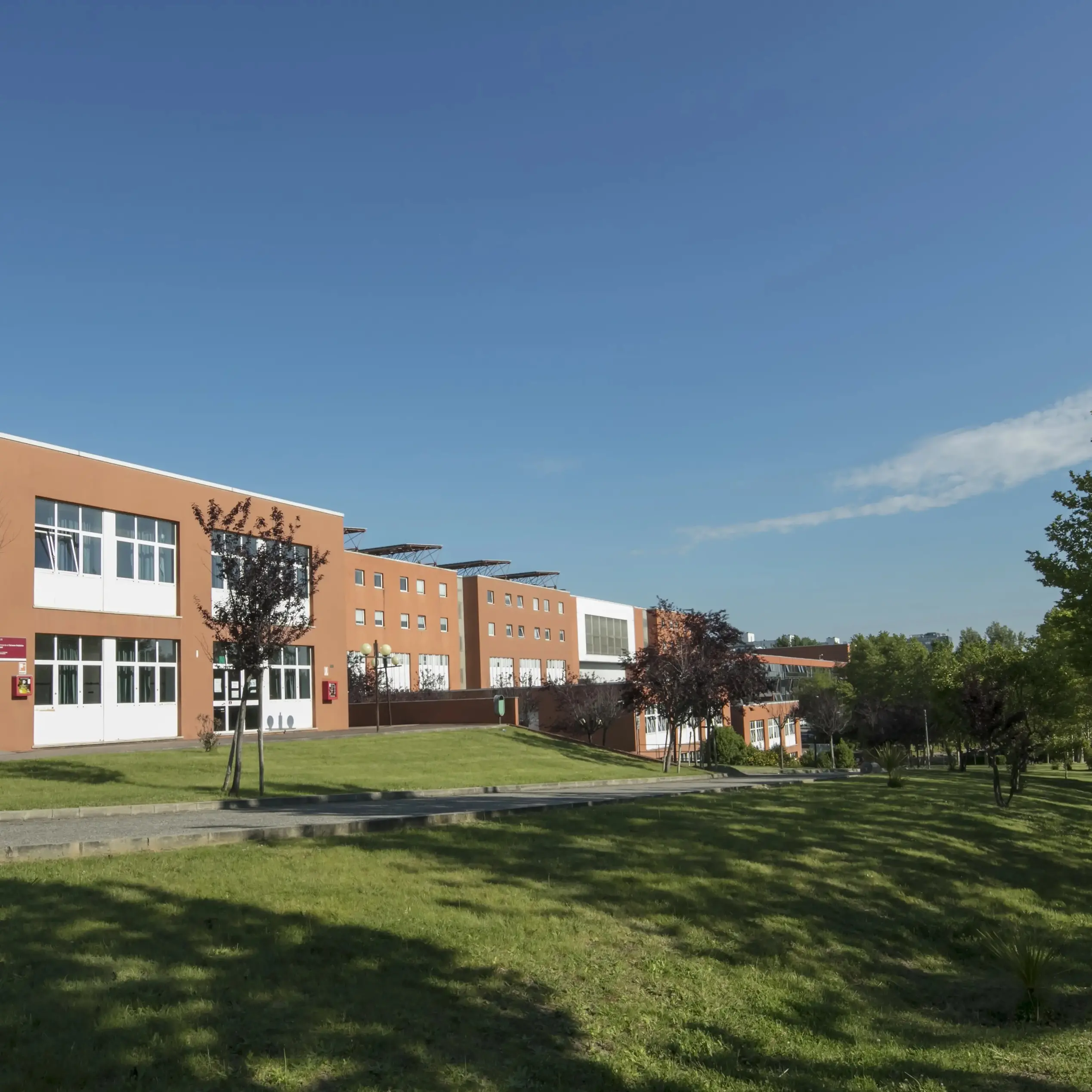 Conferenza di Ornitologia all’Unical, Congi (SOI): «Lo speciale sugli uccelli della Sila evento unico nel panorama nazionale»