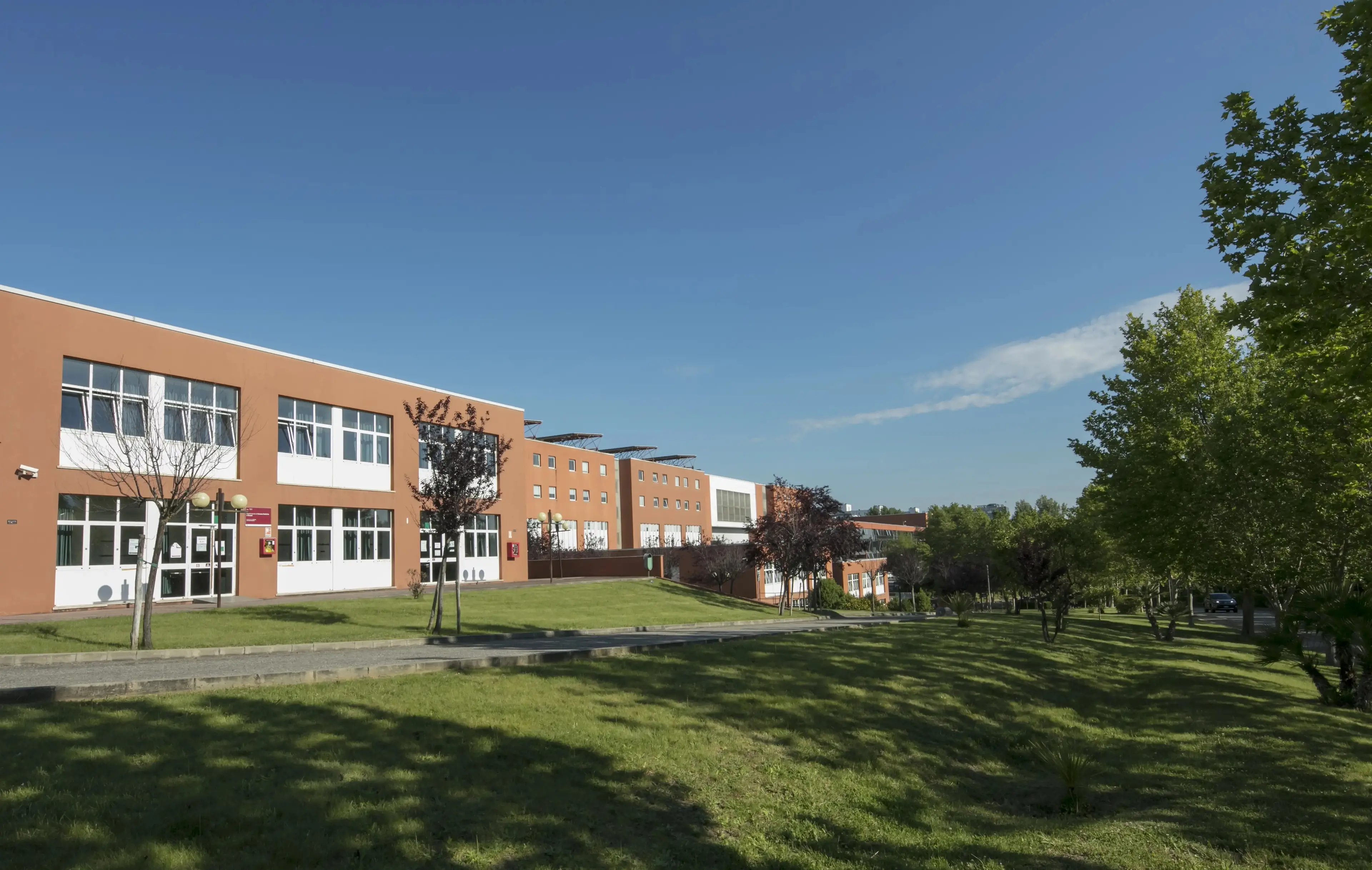 Conferenza di Ornitologia all’Unical, Congi (SOI): «Lo speciale sugli uccelli della Sila evento unico nel panorama nazionale»