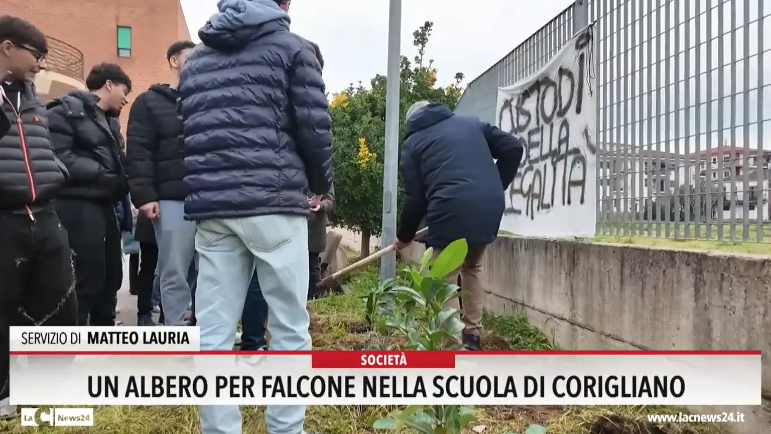Un albero per Falcone nella scuola di Corigliano