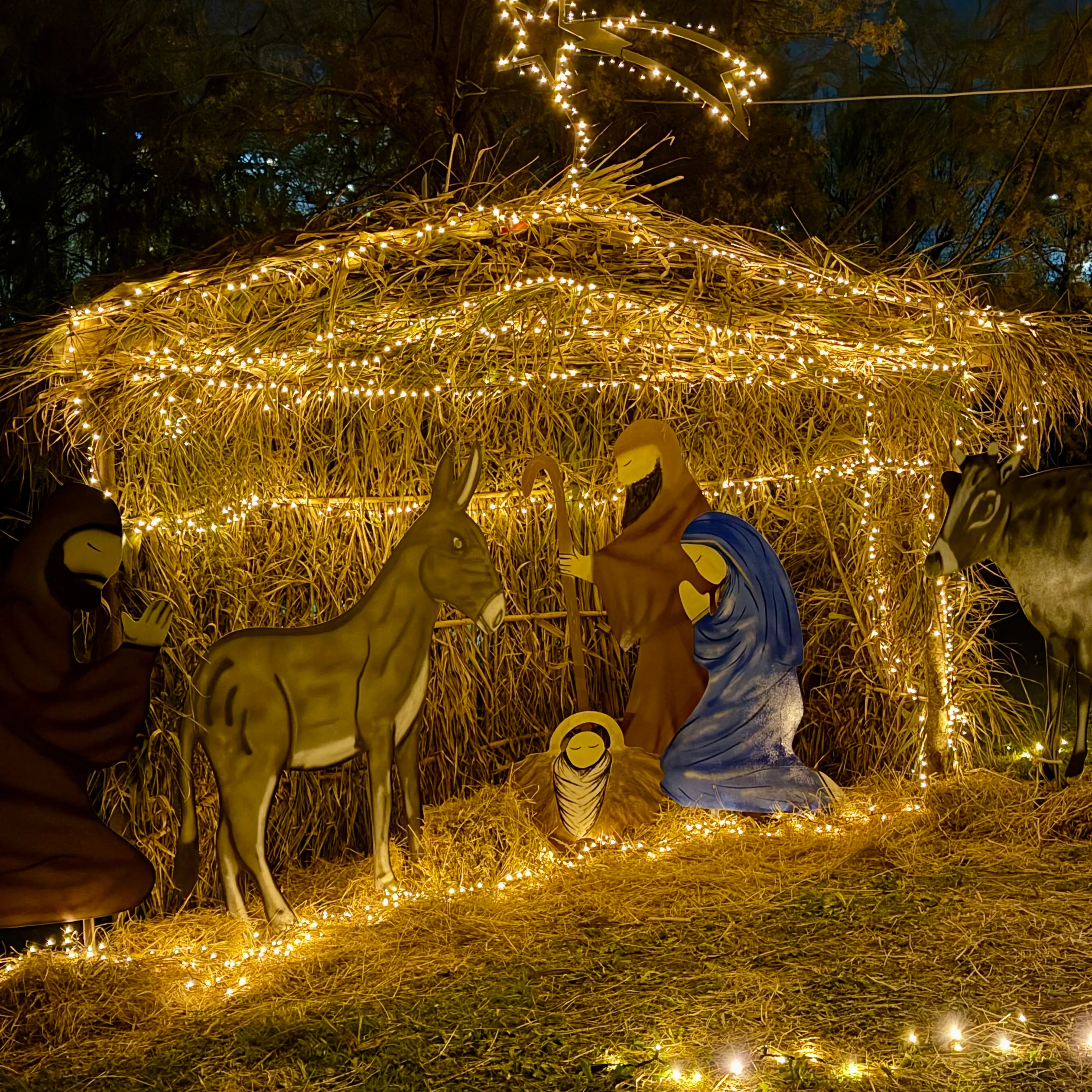 Castrolibero si illumina: luci artistiche e comunità protagoniste del Natale\n