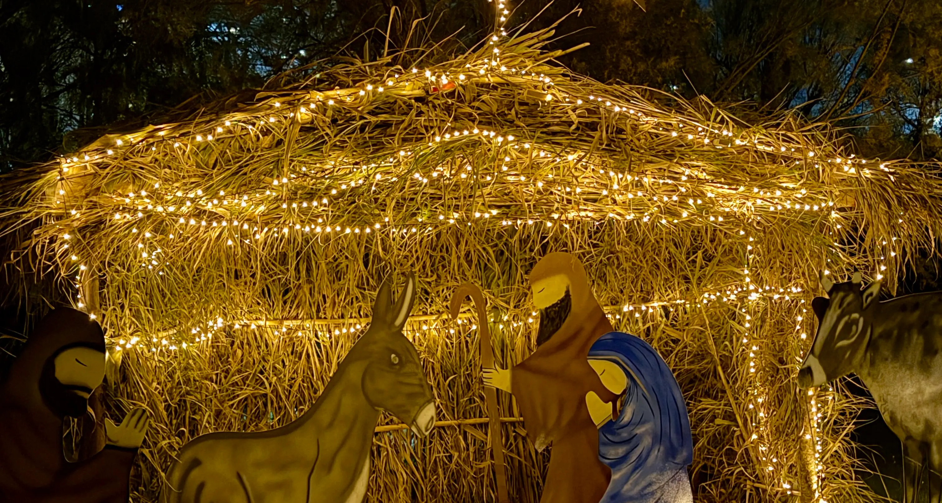 Castrolibero si illumina: luci artistiche e comunità protagoniste del Natale\n