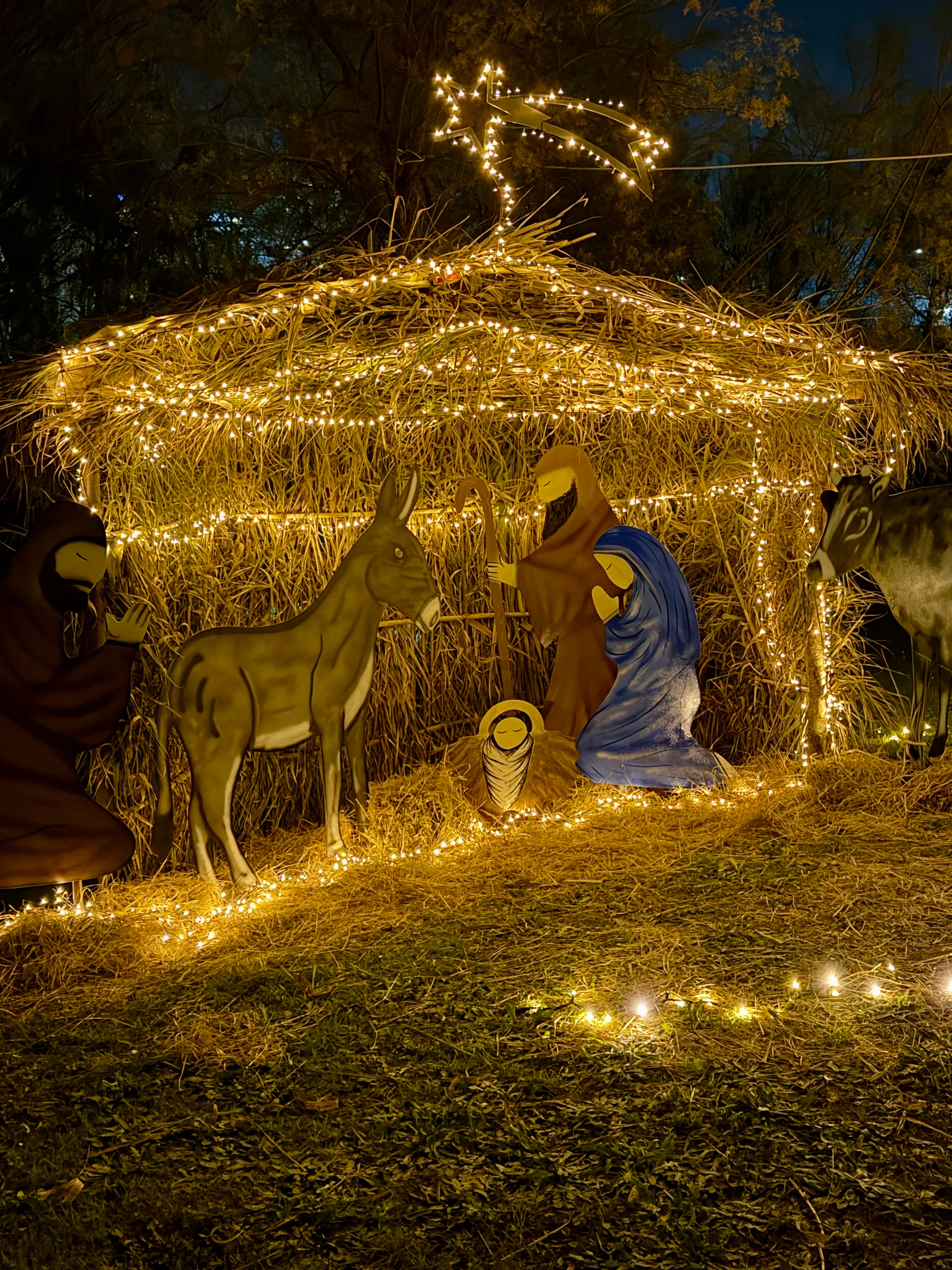 Castrolibero si illumina: luci artistiche e comunità protagoniste del Natale\n