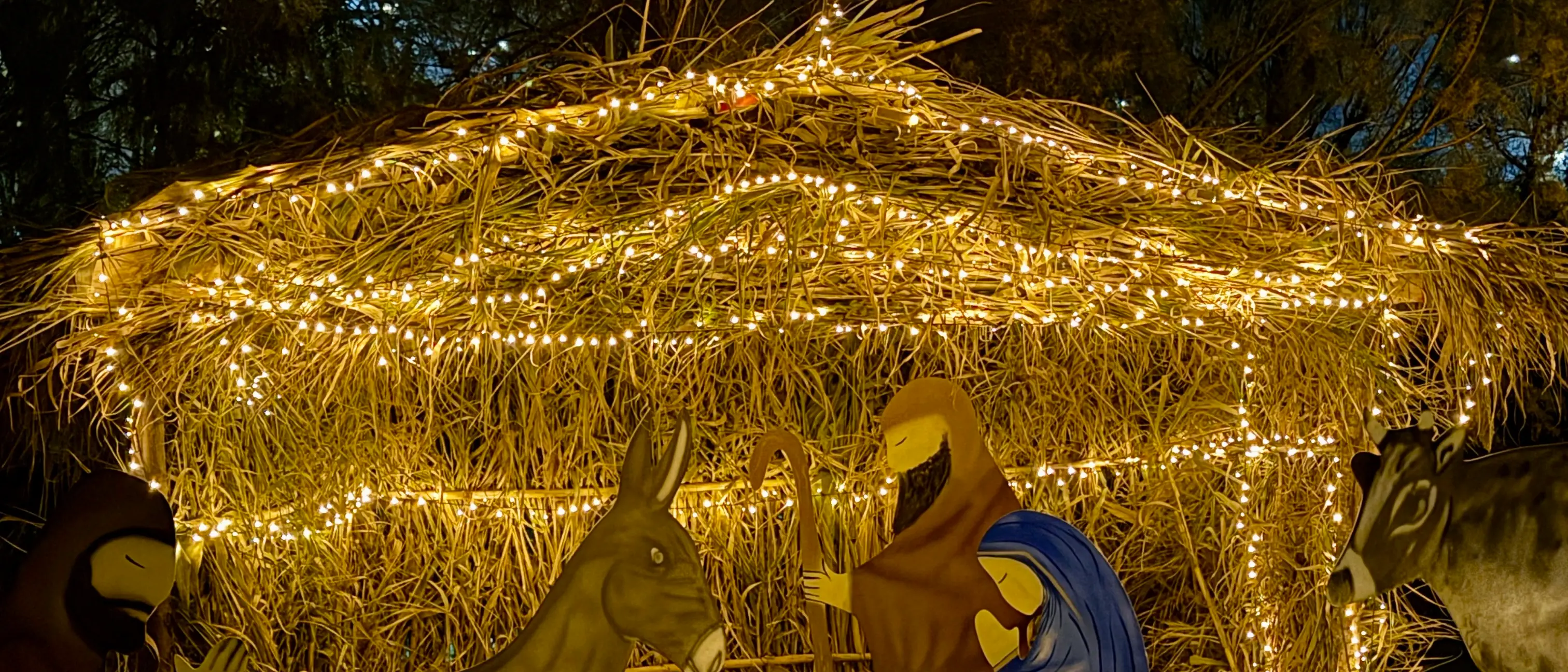Castrolibero si illumina: luci artistiche e comunità protagoniste del Natale\n