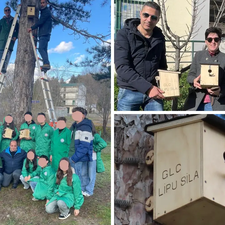 Biodiversità Sila, scuola e Lipu insieme per tutelare la natura tra cassette nido ed educazione ambientale\n
