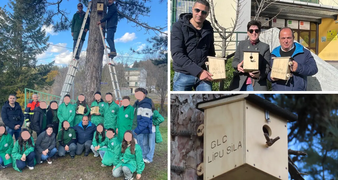 Biodiversità Sila, scuola e Lipu insieme per tutelare la natura tra cassette nido ed educazione ambientale\n