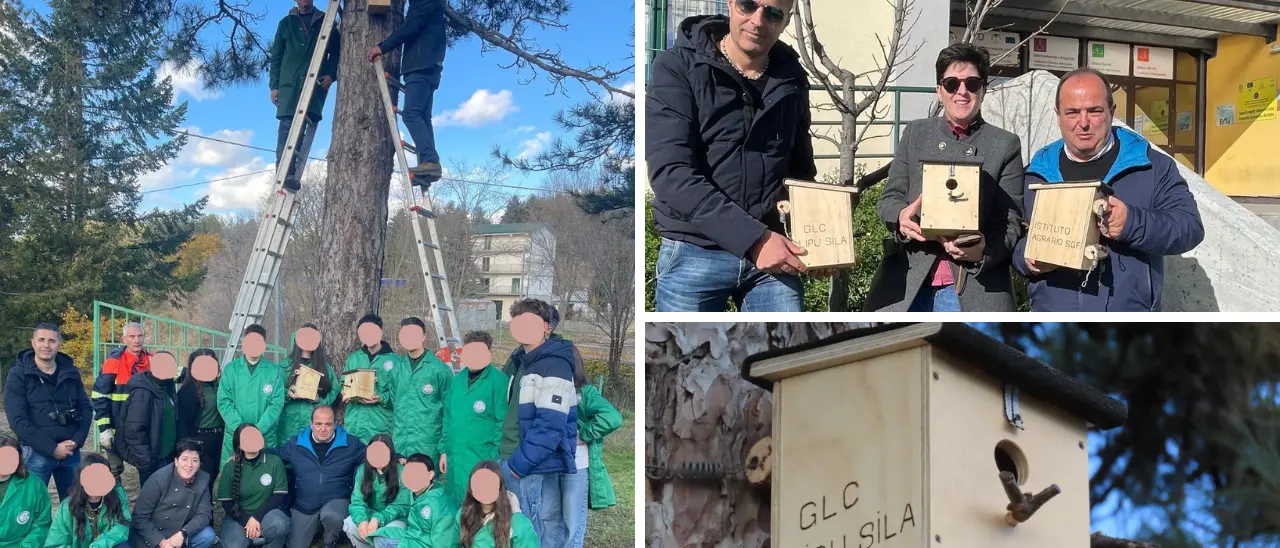 Biodiversità Sila, scuola e Lipu insieme per tutelare la natura tra cassette nido ed educazione ambientale\n