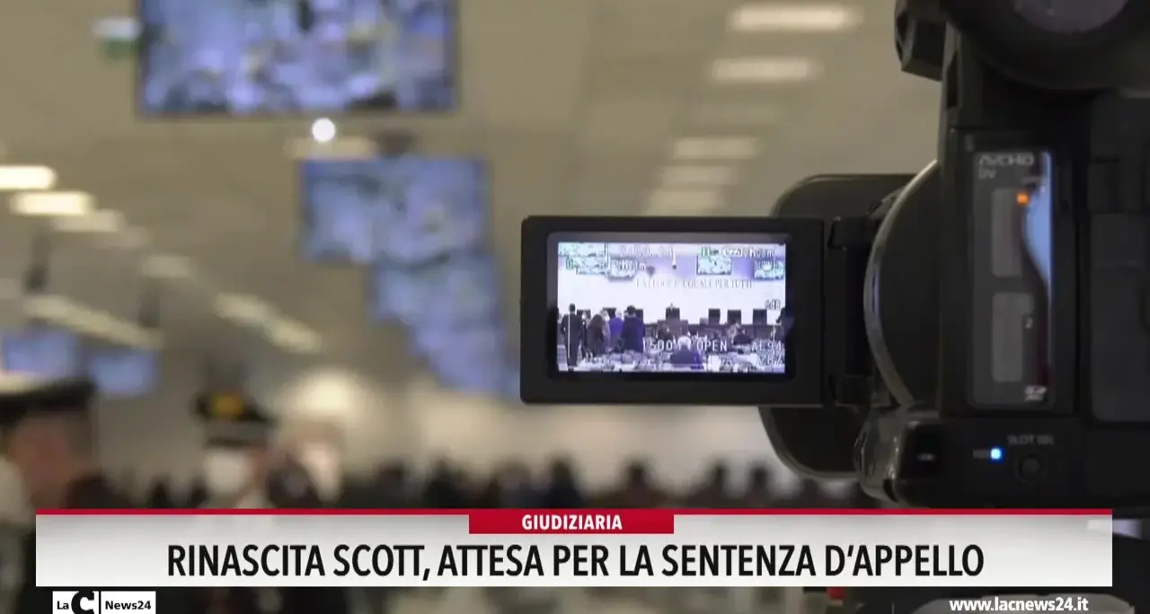 Rinascita Scott, è il giorno della sentenza d'appello