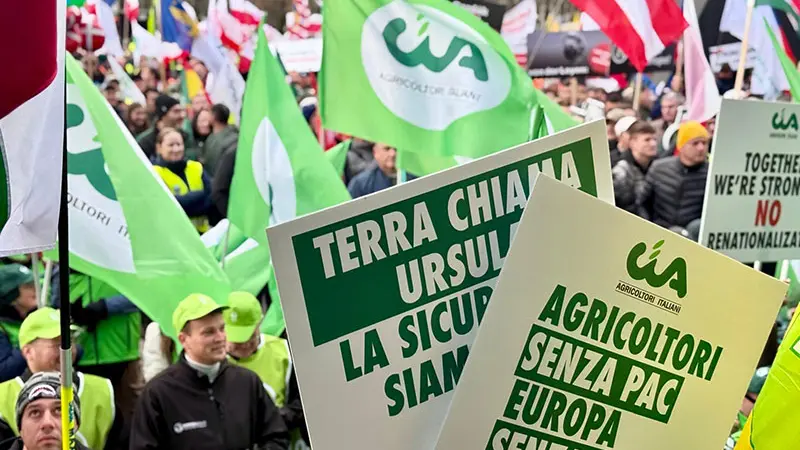 <p>La protesta degli agricoltori della Confederazione italiana agricoltori&nbsp;a Bruxelles (foto: www.cia.it)</p>\\n