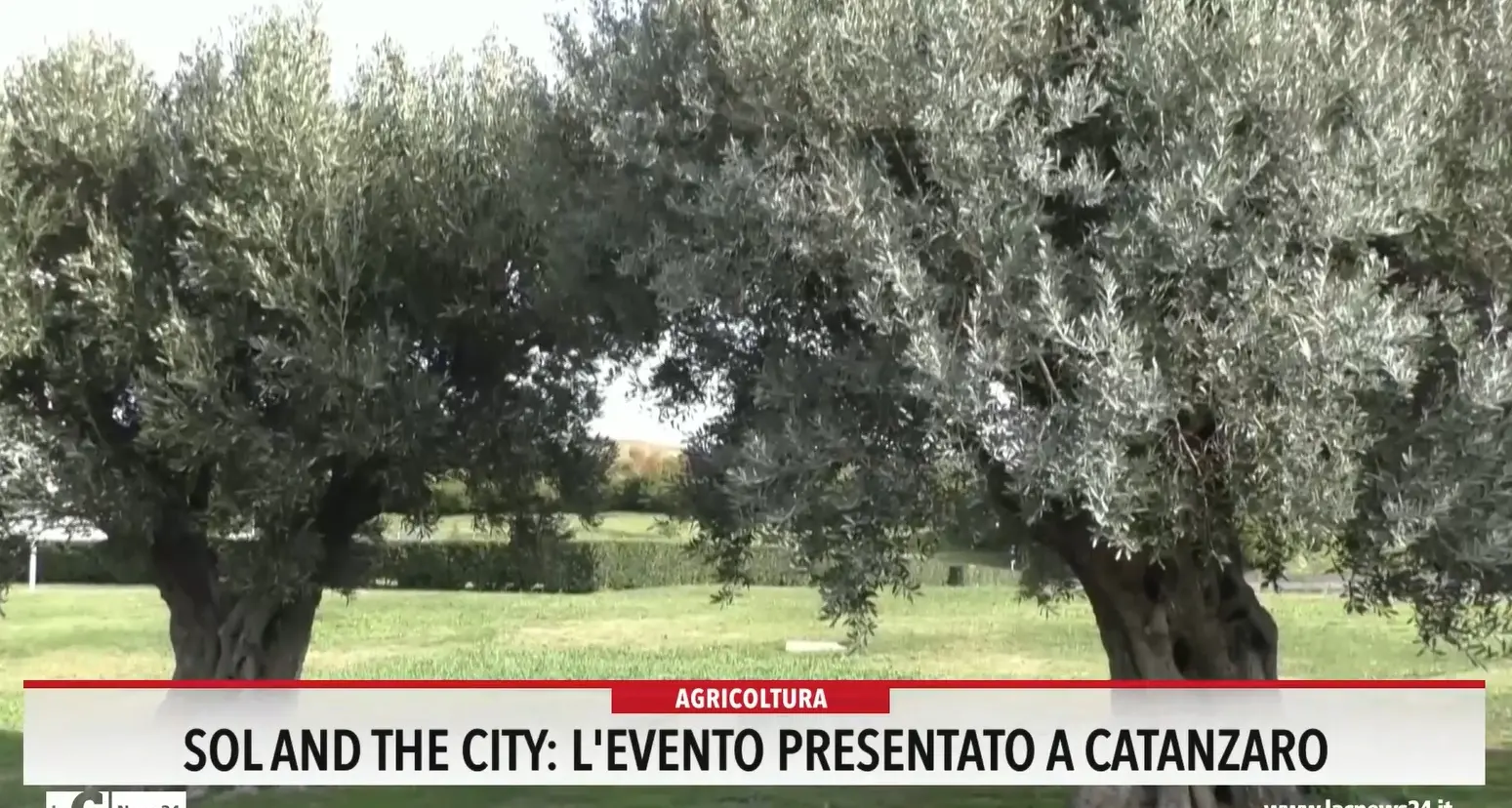 Sol and The City, l'evento presentato a Catanzaro