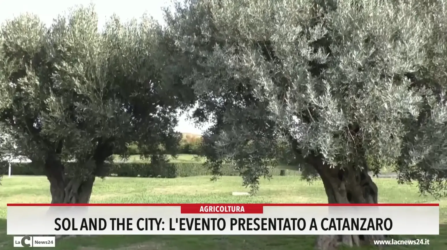 Sol and The City, l'evento presentato a Catanzaro