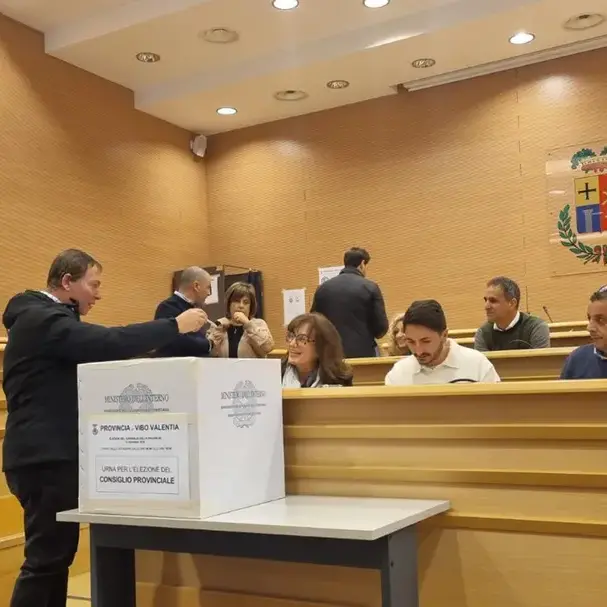 Provincia di Vibo, lunedì s'insedia il nuovo Consiglio: l'area progressista costituisce un gruppo unico\n