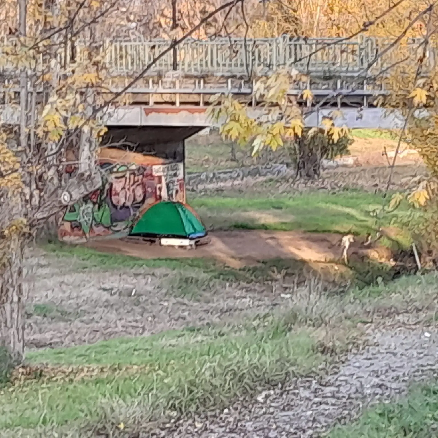 «Dopo la famiglia del bosco, l’uomo nel parco», la denuncia social su una misteriosa tenda nello spazio green a Rende