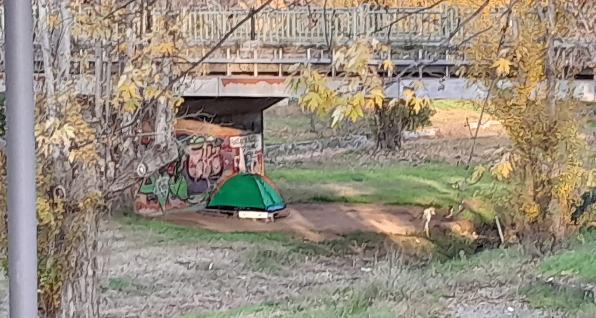 «Dopo la famiglia del bosco, l’uomo nel parco», la denuncia social su una misteriosa tenda nello spazio green a Rende