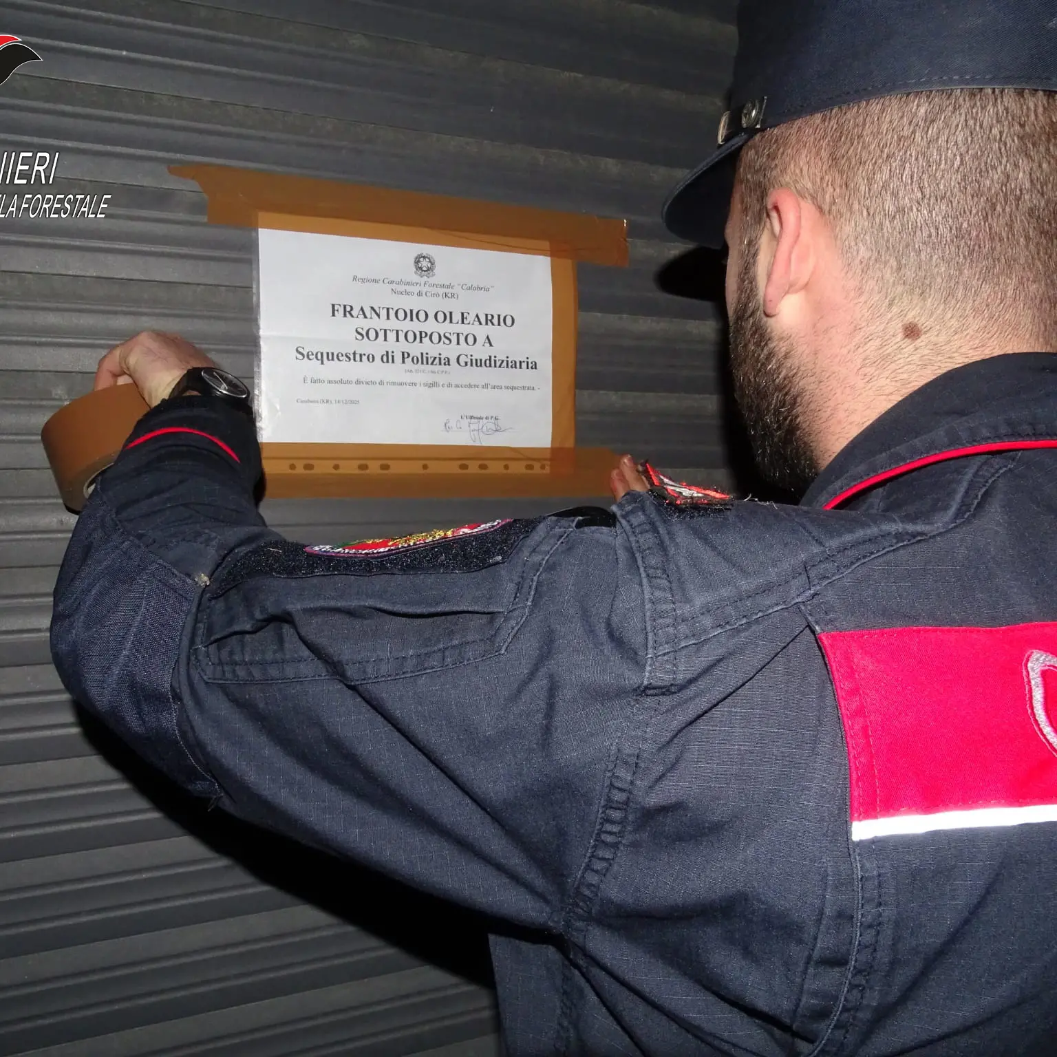 Un sistema di tubi occulto per sversare illecitamente nei torrenti: sequestrato un frantoio nel Crotonese\n