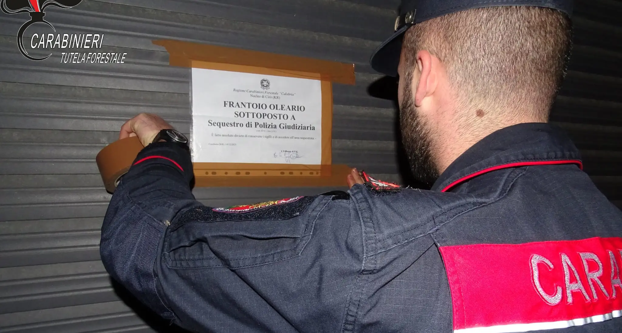 Un sistema di tubi occulto per sversare illecitamente nei torrenti: sequestrato un frantoio nel Crotonese\n